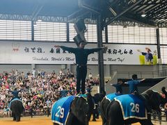 -东芭乐园