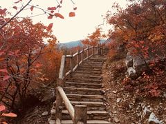 -北京上方山国家森林公园