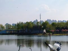 -群力丁香公园