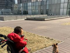 -百好乐宠物友好餐厅(朝外大街店)