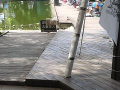 -酷鱼垂钓CLUB(朝阳区博大路店 )