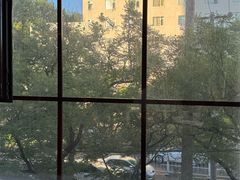 -老广酒楼(樱花店)