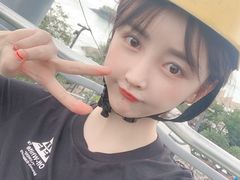 -圣淘沙天际线斜坡滑车
