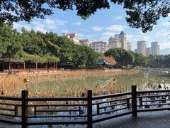 -光明港公园