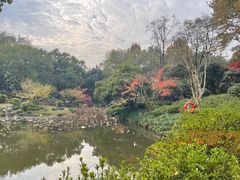 -山外山菜馆(玉泉路店)