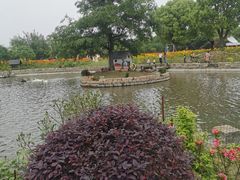 -鹅湖玫瑰文化园