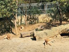 -常州淹城野生动物世界