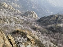 -北京凤凰岭