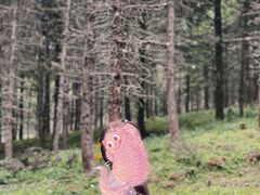 -硗碛藏寨·神木垒景区