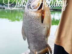 -新怡路亚垂钓园