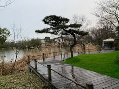 -新荣记(西溪湿地店)