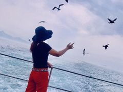 -海驴岛(荣成市)