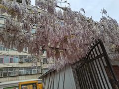 -雁滩公园