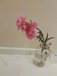 -禾美嘉医疗美容