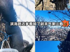 -南山健身公园