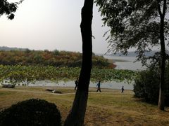 -丁香湖公园