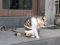 -Again Coffee Roaster(香蜜湖店)