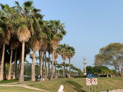 -黄金海岸环岛路