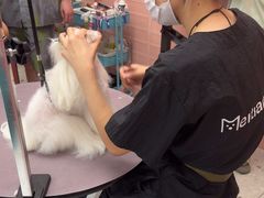 -FAELING PETS美天灵宠物(合生汇店)
