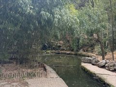 -庐山风景区花径公园