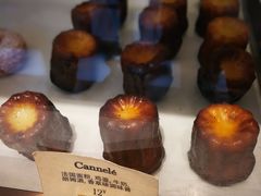 -Madeleine玛德琳(永平里店)