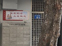 -溪岸路花鸟市场