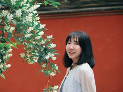 -潭柘寺景区