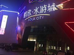 -鹏欣水游城