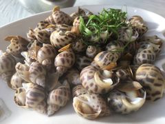 白灼香螺-覃记海鲜美食餐厅