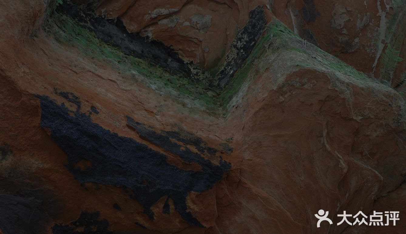 误入乐山大佛脚下的田园咖啡馆