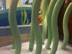 -童趣廊·儿童波波池·海洋球(长隆横琴湾酒店)