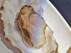 -西街夜油条·麻团包乌饭