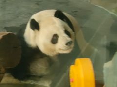 -青藏高原野生动物园