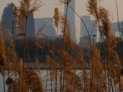 -朝阳公园