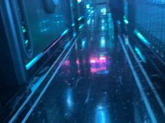 -宝岛甲壳虫KTV(蓝天路店)