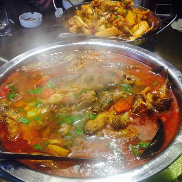 鱼乐火锅(清江国际店)