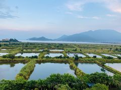 -途易晟曼湾度假酒店(大鹏店)