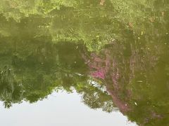 -燕晗山郊野公园