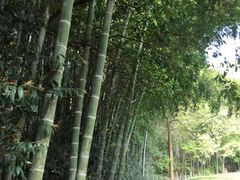 -敬亭山风景名胜区