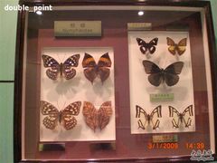 -上海昆虫博物馆