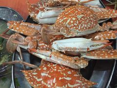 -板桥海鲜广场(文明东店)