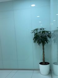 -agge蛋白医美