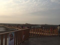 -红海滩国家风景廊道
