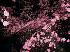 -泰州站