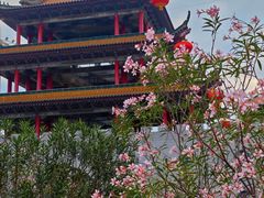 -东莞观音山旅游风景区