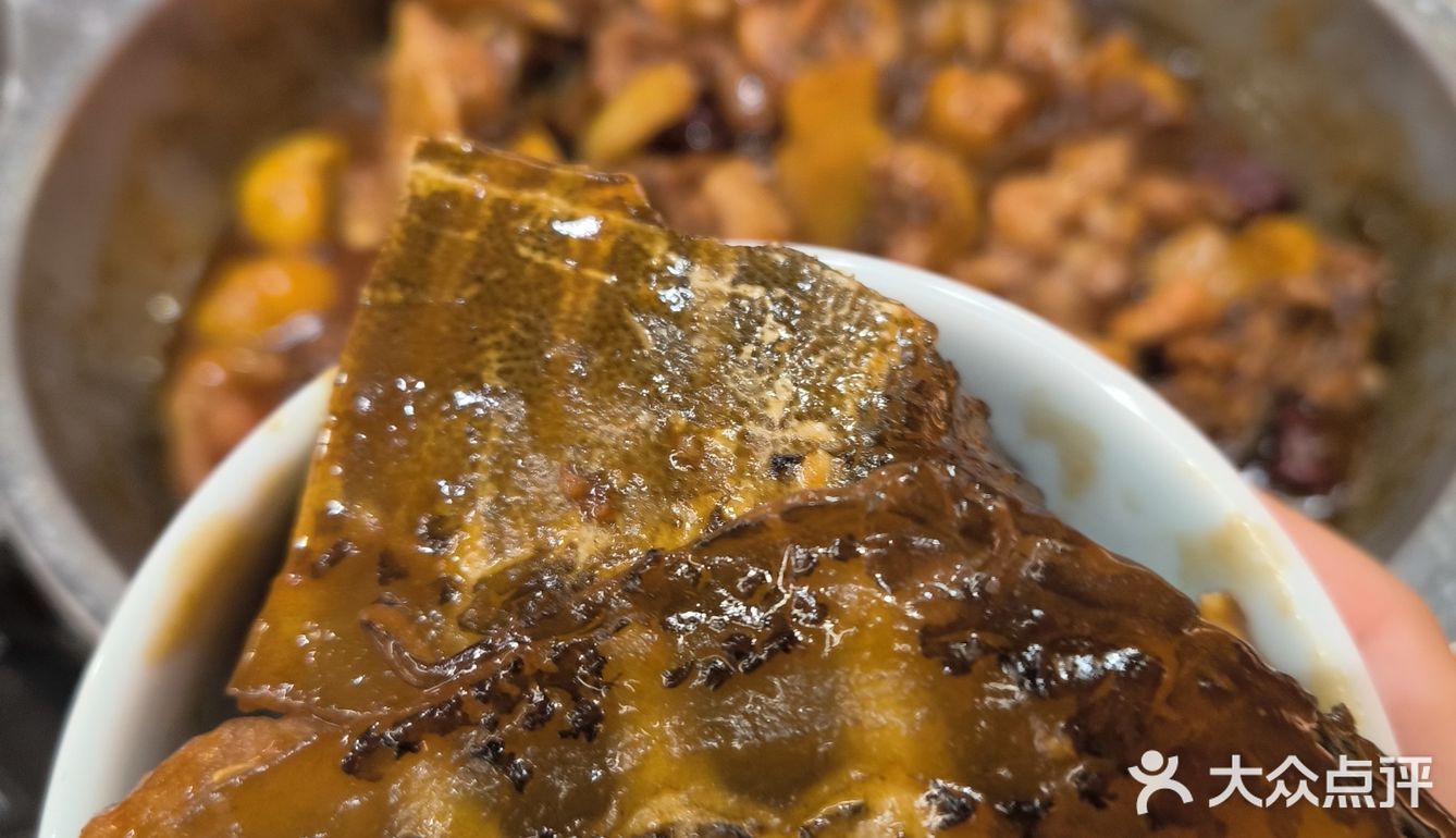 秋冬进补必不可少的食材‼️甲鱼