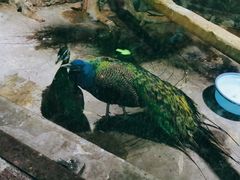 -多彩贵州城极地海洋世界