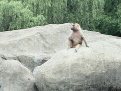 -宁波野生动物园