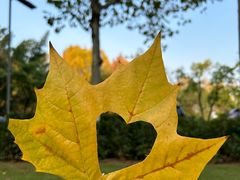 -重庆中央公园(渝北区)