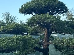 -外滩·云南人家(昆明旗舰店)